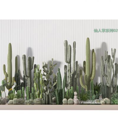 仙人掌系列   装饰