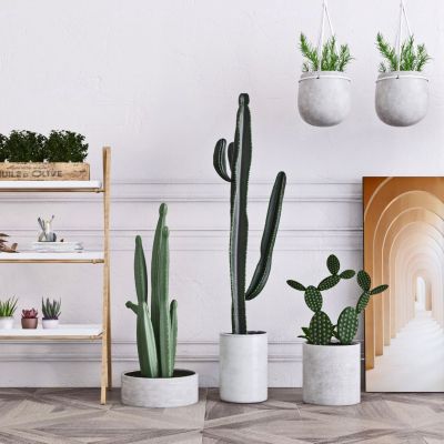 北欧花架植物组合