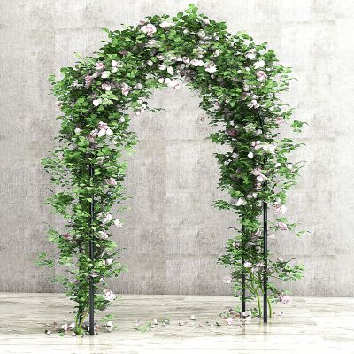 现代拱形门植物花架