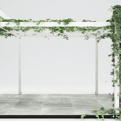 现代绿植藤蔓绿植