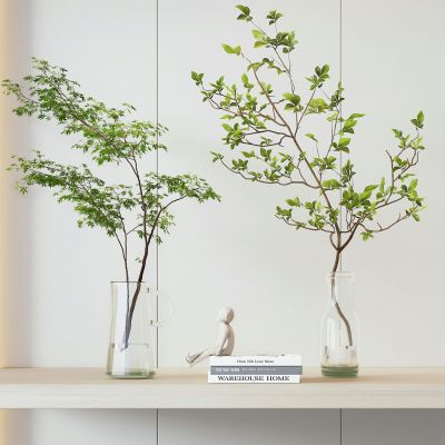 现代水生植物盆栽玻璃花瓶