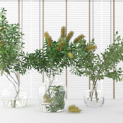 现代玻璃花瓶插花