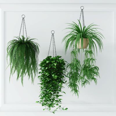 现代绿植盆景组合