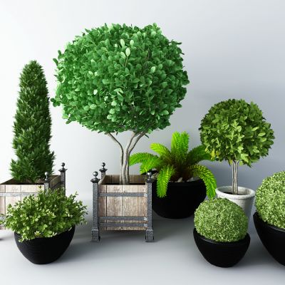 现代户外绿植盆栽