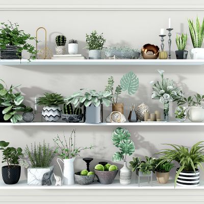 现代小盆栽花盆