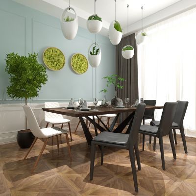 北欧现代餐厅餐桌椅吊篮植物盆栽花瓶