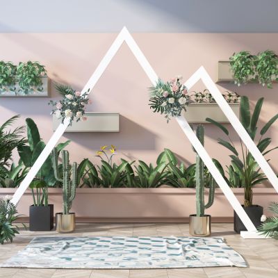 植物墙   展示墙    合影区