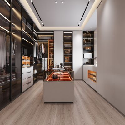 现代衣帽间