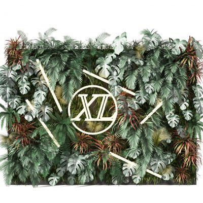 植物墙    背景展示墙