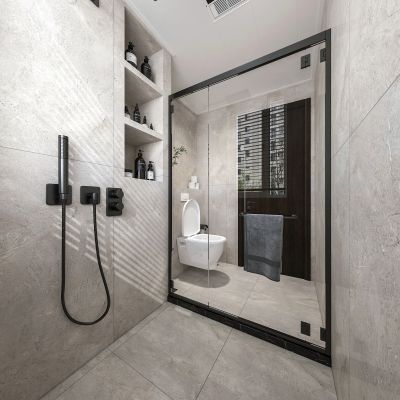 现代卫生间 主卫 马桶 淋浴 花洒组合