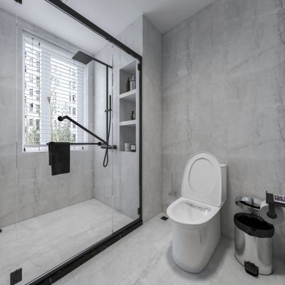 现代卫生间 主卫 马桶 淋浴 花洒组合