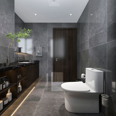 现代卫生间 主卫 马桶 淋浴 花洒组合