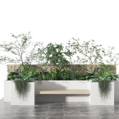 现代植物组合   绿植