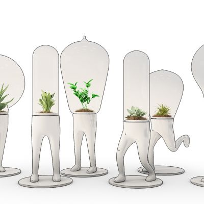 玻璃罩植物摆件