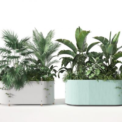 花草    盆栽摆件