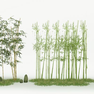 中式竹子