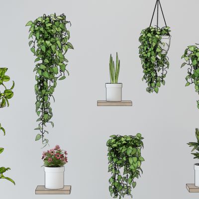 现代植物墙花盆吊篮