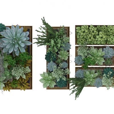 植物墙组合