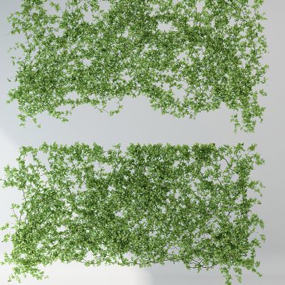 植物墙藤蔓