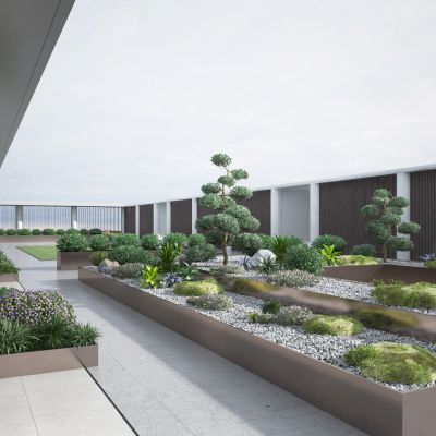 庭院景观   园林植物