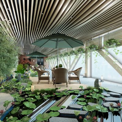 室内景观植物竹子荷花