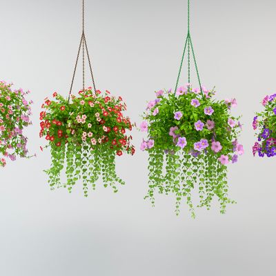 植物吊篮花艺