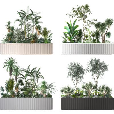 盆景    盆栽摆件