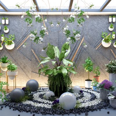 盆栽植物吊篮藤蔓吊灯阳光房鹅卵石