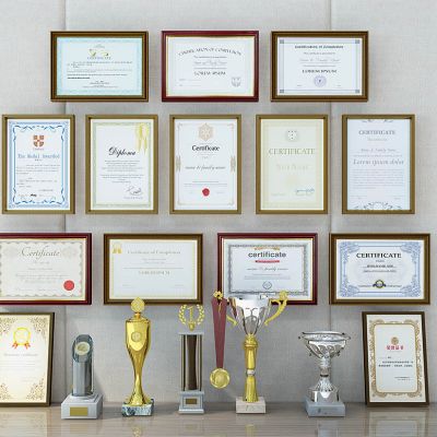 现代奖牌奖状奖杯荣誉证书组合