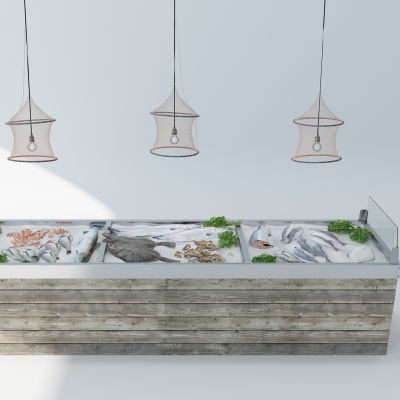 现代海鲜保险冷柜