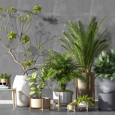 现代盆栽绿植花盆