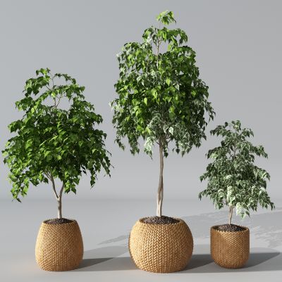 编织植物盆景盆栽绿植花盆