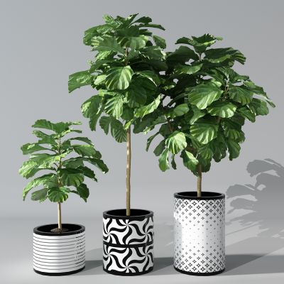 植物盆景盆栽绿植花盆