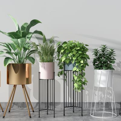 植物盆景盆栽绿植金属花盆