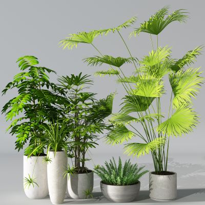 植物盆景盆栽绿植花盆