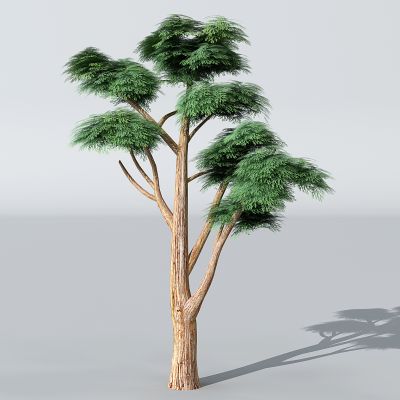 半卡通儿童乐园植物松树树