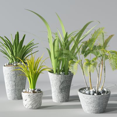 植物盆景盆栽绿植花盆