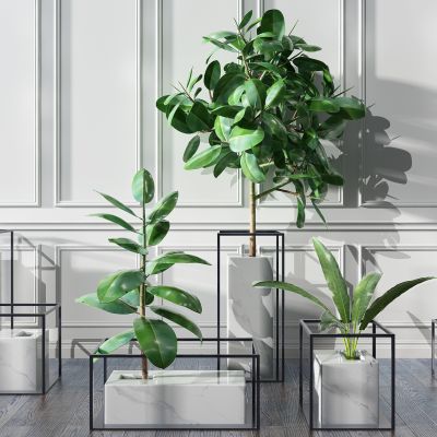 植物盆景盆栽绿植花盆