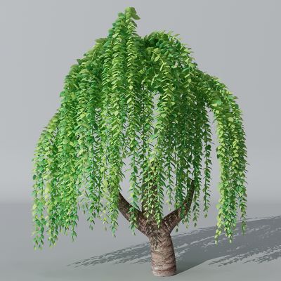 办卡通儿童乐园植物树柳树