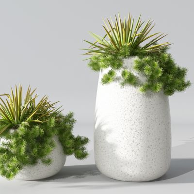 植物盆景盆栽绿植花盆