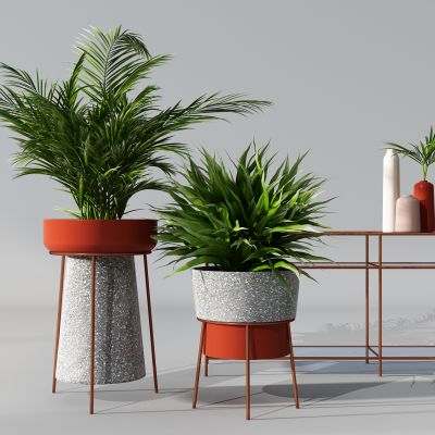 植物盆景盆栽绿植花盆花架