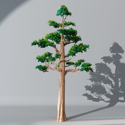 半卡通儿童娱乐景观植物松树