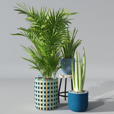 植物盆景盆栽绿植花盆