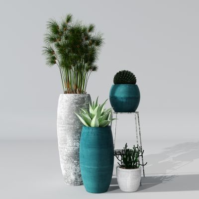 植物盆景绿植陶罐花盆