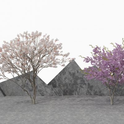 现代景观植物树