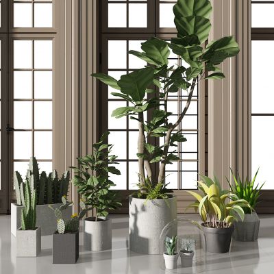 现代植物盆景盆栽组合