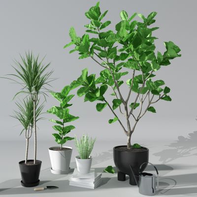 植物绿植盆栽花盆花架芭蕉叶