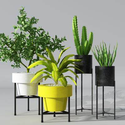 植物盆景盆栽绿植花盆