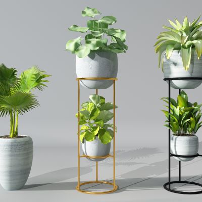 植物盆景绿植花盆