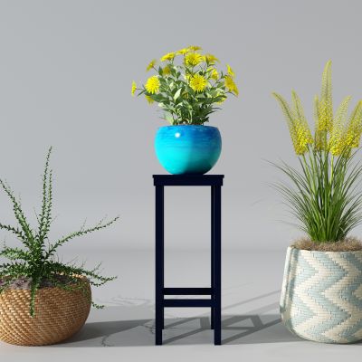 植物盆景盆栽绿植花盆